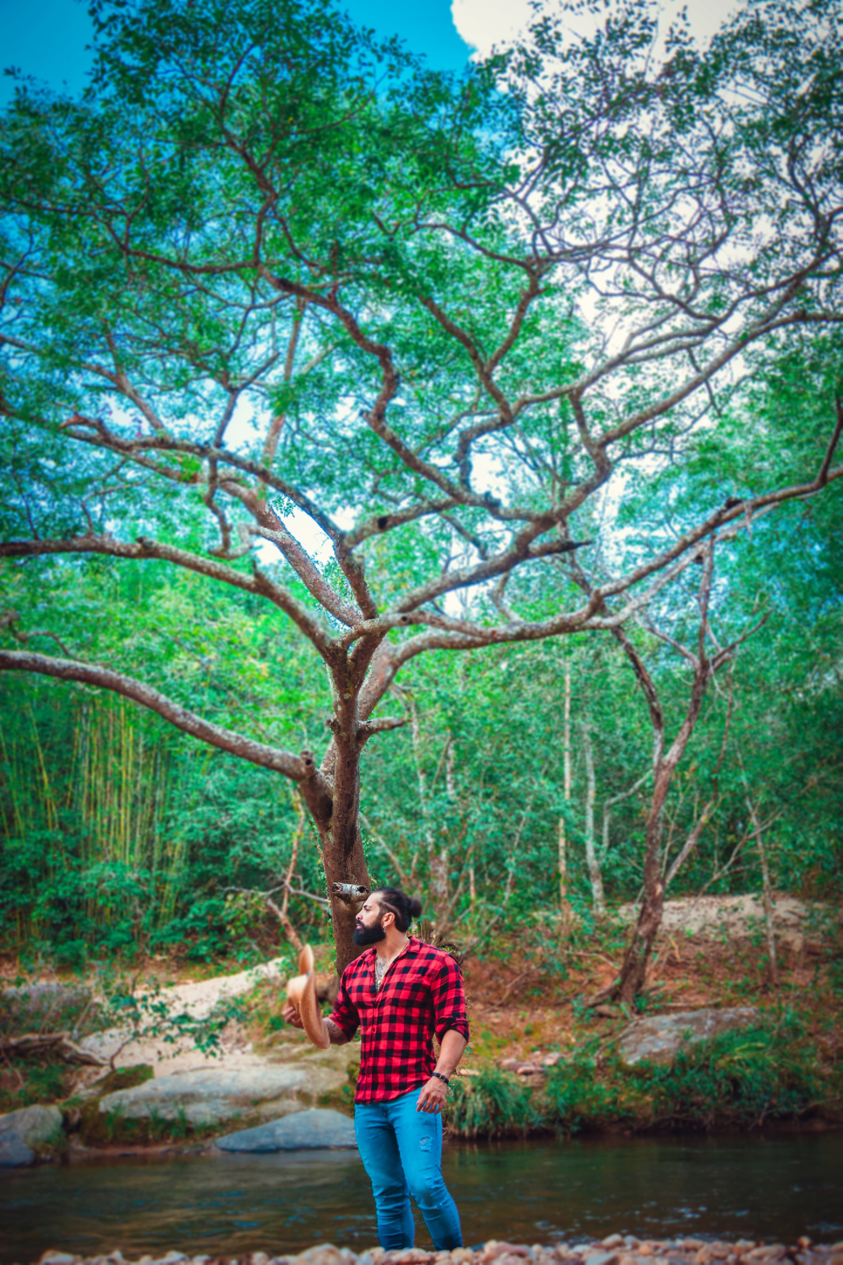 Mac em uma paisagem do Cerrado, sob uma árvore.
